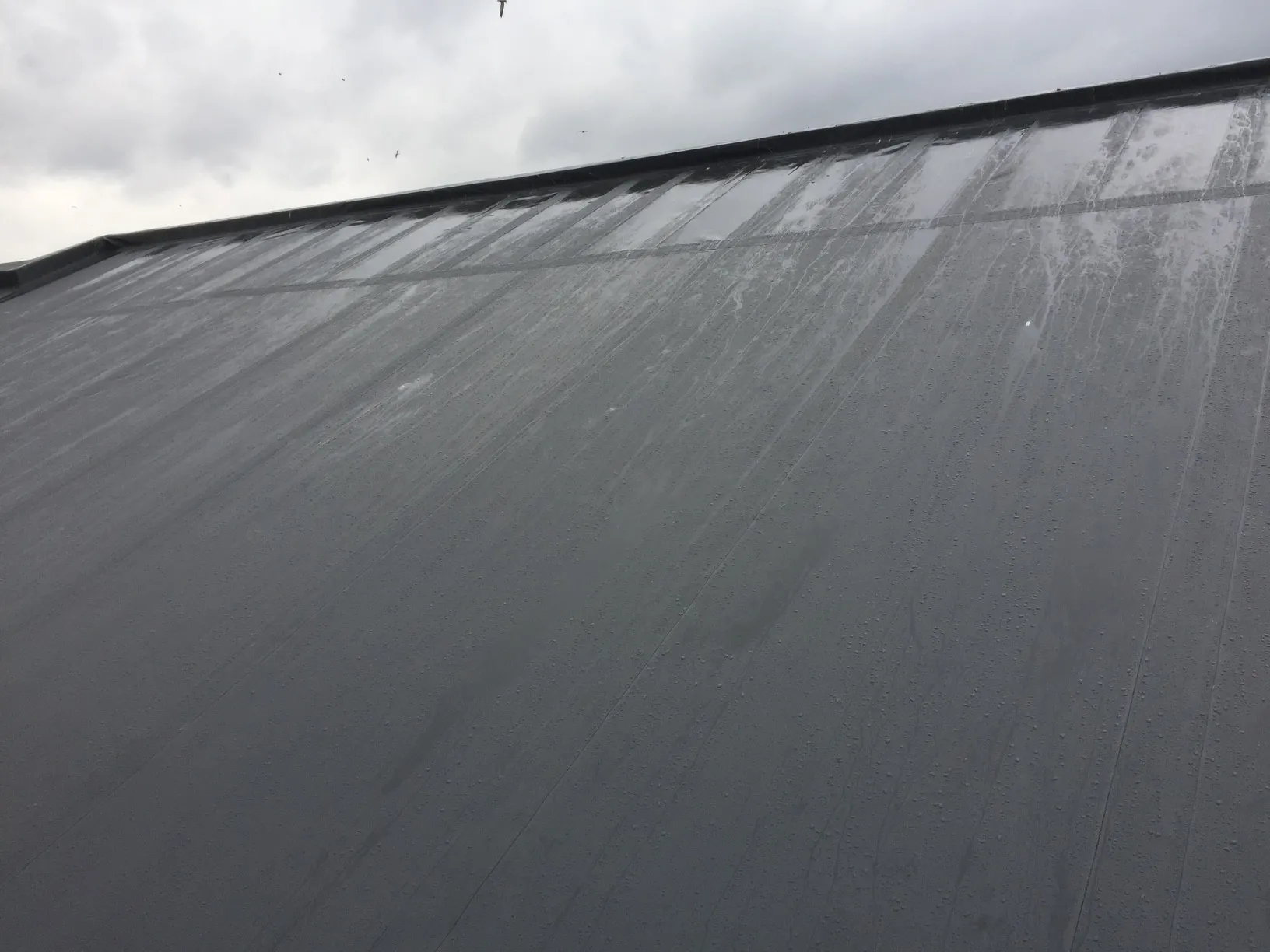 Completed single-ply membrane school roof refurbishment in Ayrshire