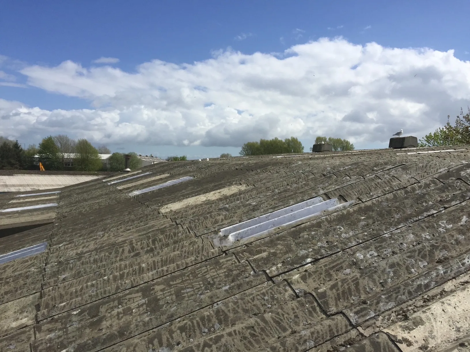 Caldriven Manufacturing Works asbestos cement roof before coating