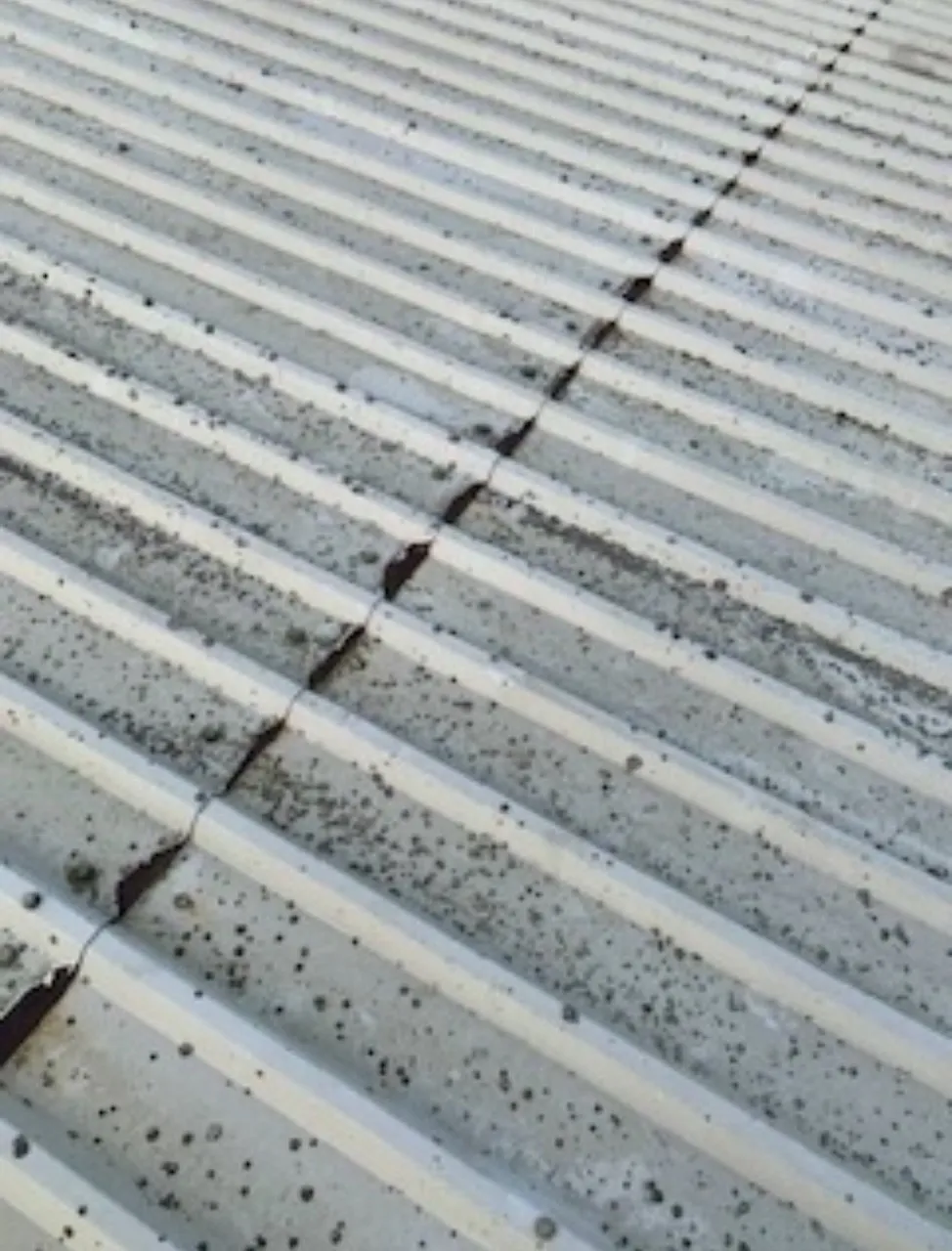 Airdrie factory roof before cut edge corrosion treatment.