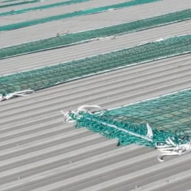 Rooflight netting installed above where netting from below is not feasible